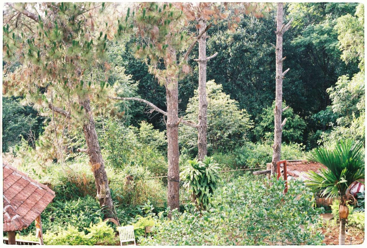 Sum Villa Homestay Mang Den Kon Von Kla 外观 照片