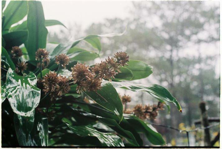 Sum Villa Homestay Mang Den Kon Von Kla 外观 照片